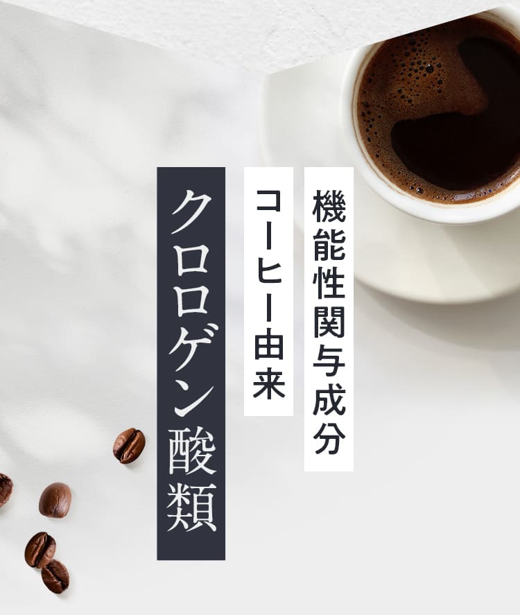 機能性関与成分コーヒー由来クロロゲン酸類配合